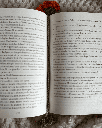 Marque-page Coquelicot 2.png