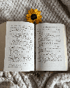 Marque-page Tournesol 2.png