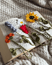 Lot de 5 marque-pages fleurs 2.png