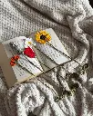 Lot de 5 marque-pages fleurs 3.webp