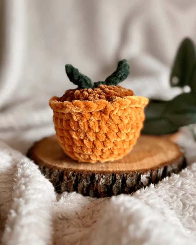 Sprout Curry _ Kaki dos.webp