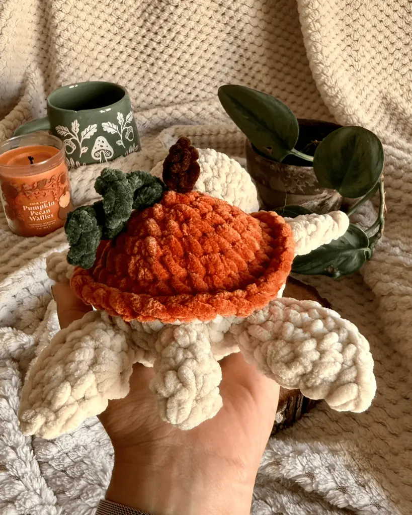 Claire - Tortue Citrouille vue arrière.webp