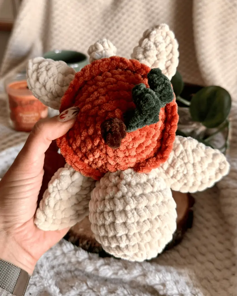 Claire - Tortue Citrouille vue de dessus.webp