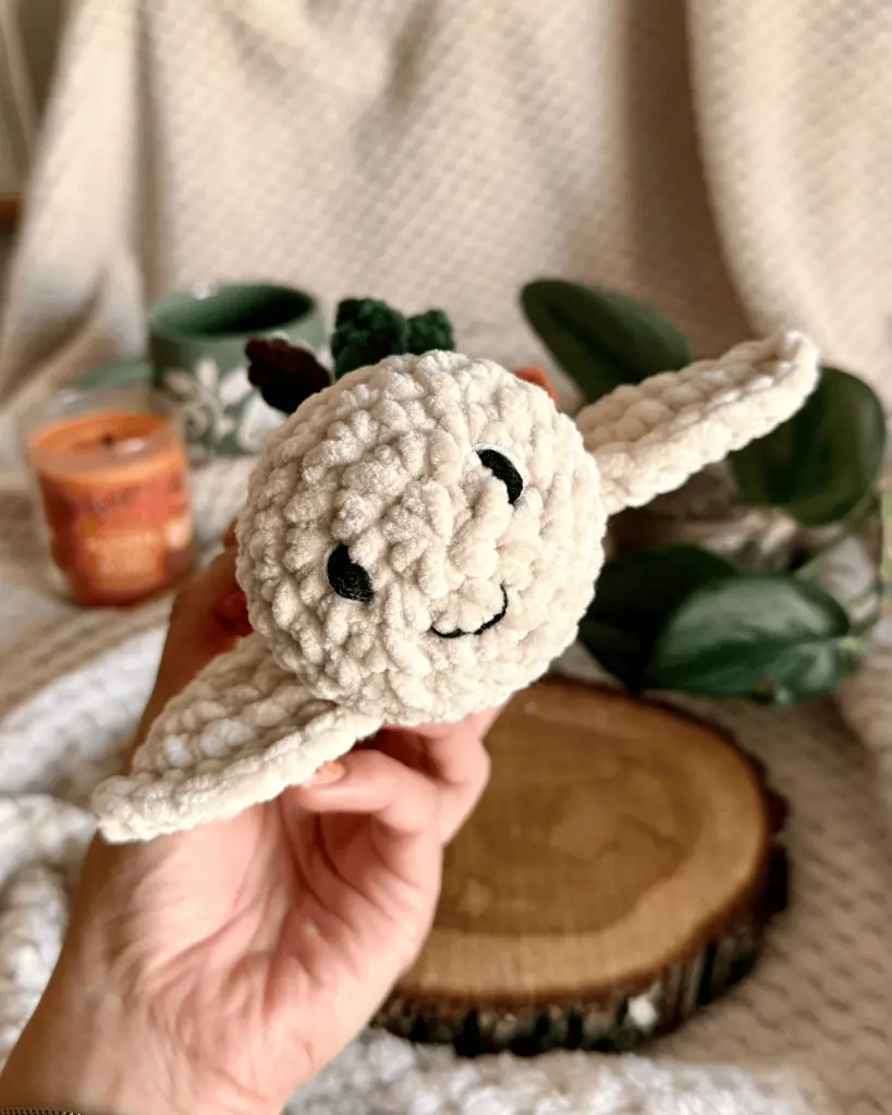 Claire - Tortue Citrouille visage.webp